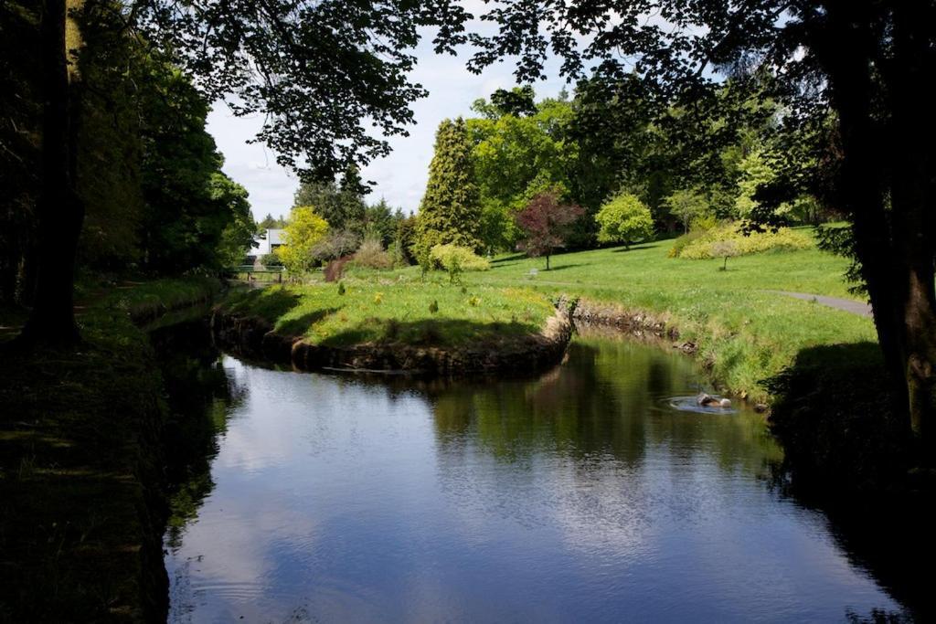 Tully'S Hotel Castlerea 外观 照片